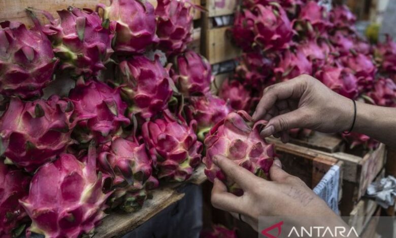 10 buah yang tersebut dimaksud ampuh atasi sembelit kemudian lancarkan BAB